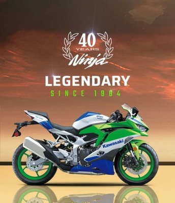 Kawasaki ZX -4RR Ninja 40th Anniversary Editio...