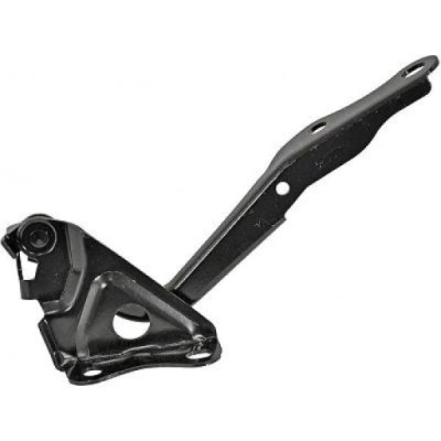 Петля do toyota rav 4 09-10 фото №1