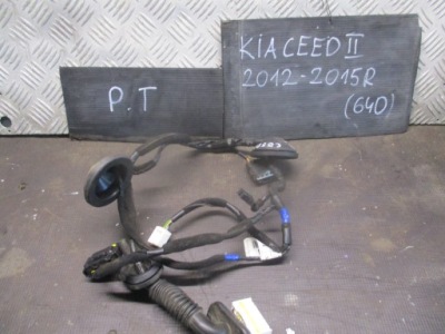 Джгут двері правий задня 91660-a2030 kia ceed ii 12-15r фото №1