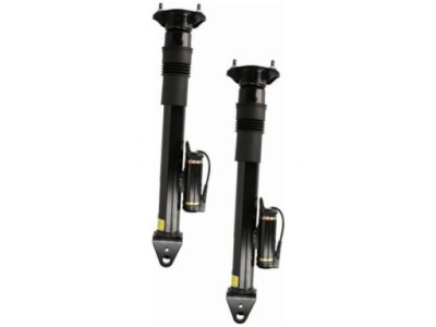 Амортизатори задній arnott sk-2867 фото №1