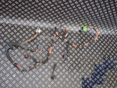 Chrysler grand voyager 01- електропроводка двері фото №1