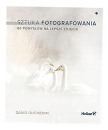 SZTUKA FOTOGRAFOWANIA. 60 POMYSŁÓW NA LEPSZE.. DAVID DUCHEMIN