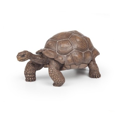 ŻÓŁW Z GALAPAGOS - Galapagos tortoise - PAPO 50161