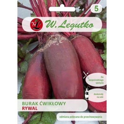 Burak ćwikłowy Rywal Legutko 10g