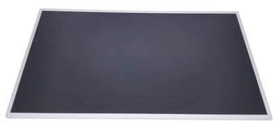 Matryca do laptopa 15,6" B156XW02 V.3