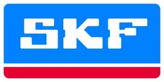 SKF 6306-2RS1