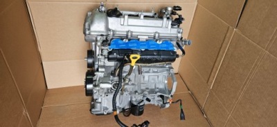 Двигун kia hyundai 1,6 gdi g4fd фото №1