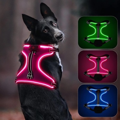 Szelki dla psa LED L