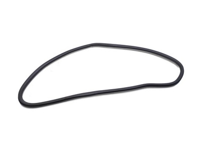 Прокладка двері лівий задня renault laguna iii фото №1