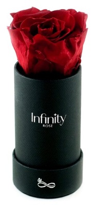 Wieczna róża czerwona Infinity Rose 13 cm