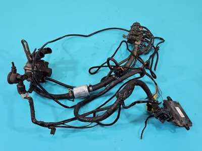 Електропроводка lpg газу stag 4 200 gofast фото №1