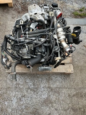 Двигун nissan navara 3.0dci v9x фото №1