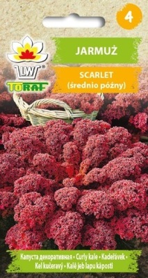 JARMUŻ FIOLETOWY SCARLET 1 g TORAF