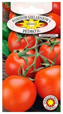 Pomidor szklarniowy Pedro F1 0,1 g