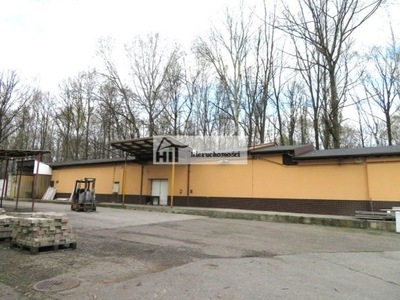 Magazyny i hale, Katowice, Giszowiec, 250 m²