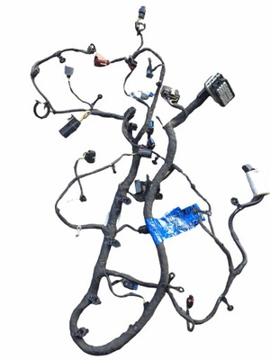 Электропроводка двигателя ford mustang vi lift 2.3 ecob фото №1