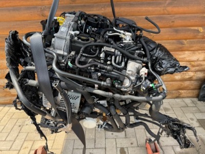 Ford focus mk4 двигун 1.0 ecoboost b7dc фото №1