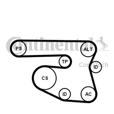 КОМПЛЕКТ РЕМНЯ WIELOROWK. BMW E81/87 E46/90 1,6/2,0