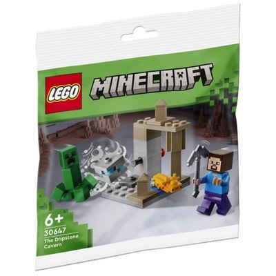 LEGO Minecraft Jaskinia naciekowa 30647