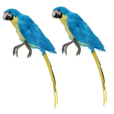 2 szt. Symulacja pierzastych papug taksydermii