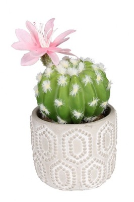 Sztuczna roślina Kaktus 7 14 cm jak prawdziwa