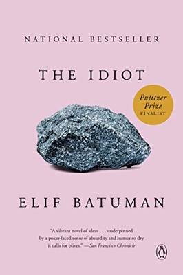 The Idiot Elif Batuman BOOK KSIĄŻKA