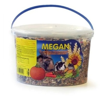 Megan Wiaderko 3L Gryzoń