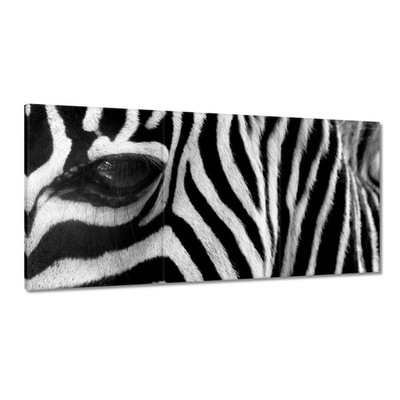 Obrazy 120x60 Czarno-białe pasy Zebra