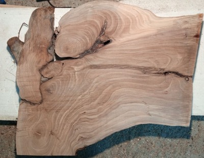 Dr1680 Drewno korzeń orzech 70x42-60x5,5cm na stół