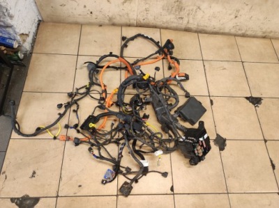 Джгут електропроводка запобіжників soul ii ev фото №1