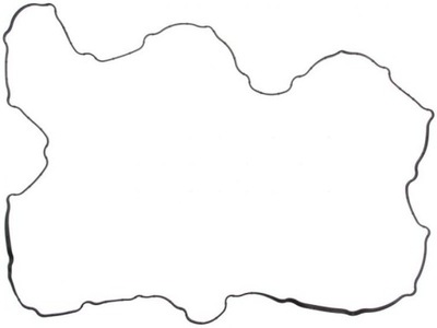 Elring 569.330 прокладка, кришка головки циліндрів фото №1