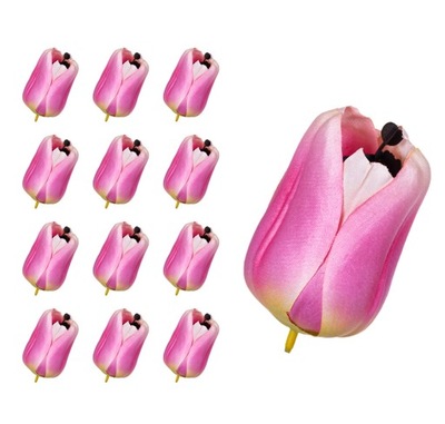 Tulipan główka różowo fioletowy 12 sztuk