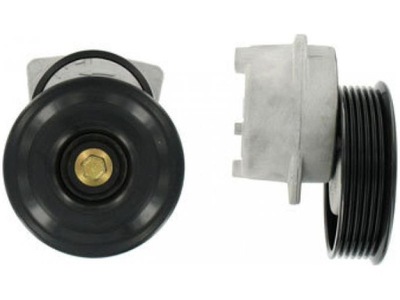 TENSOR CORREA WIELOROWK. FORD 1.25- 1.6 16V 96-  