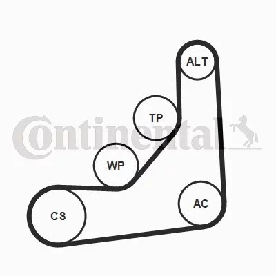 CONTINENTAL CTAM CON 6PK1165K1 JUEGO CORREA W/KLINOWEGO  