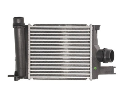 Інтеркулер renault dacia dokker 2012- 144965154r фото №1