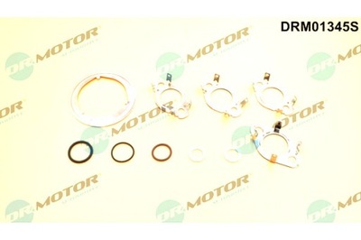 Dr.motor automotive набор прокладка клапана egr фото №1