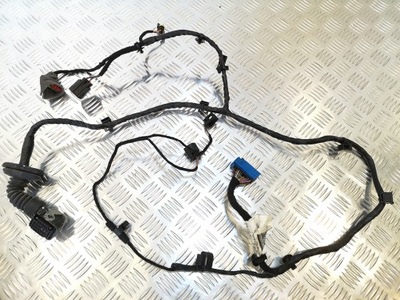 Джгут двері правий задня maserati quattroporte vi фото №1