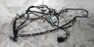 Bmw x5 e70 джгут ele. двері правий задня euro 07r фото №1