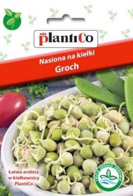 Nasiona na kiełki – Groch