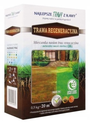 TRAWA REGENERACYJNA 0,5 KG IŁAWA PLUS NAWÓZ