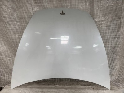 Tesla model 3 3 рестайлинг  23- капот фото №1