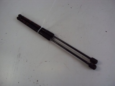 Амортизатори кришки задня audi a1 1.6 tdi 5d 12r фото №1