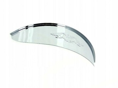 DASZEK DO LAMPY Z ORLEM PASUJE DO SHADOW DRAG STAR VULCAN