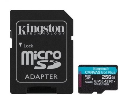 Karta pamięci microSD 256GB Canvas Go Plus 170