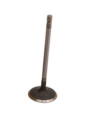 Клапан всмоктуючий бензин 5,0 na v8 land rover range rover lr010699 фото №1