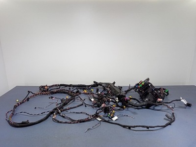 Octavia iv kombi джгут електропроводка салону фото №1