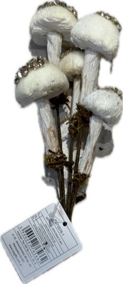 GRZYBY GRZYBKI MUCHOMORKI STYROPIAN PIK STROIK