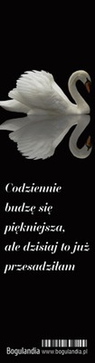 Zakładka 3 do książki - Codziennie budzę się piękn