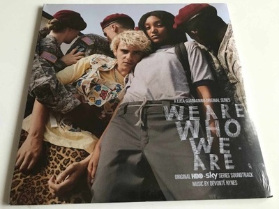 2LP We Are Who We Are Devonte Hynes Gatefold NOWE