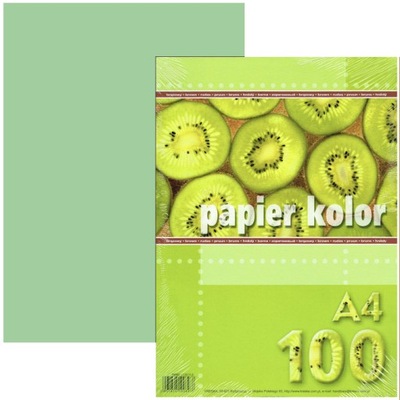 KOLOROWY PAPIER A4 80g/m2 seledynowy 100 ARKUSZY Ryza Kartek DWUSTRONNYCH